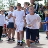 Zdjęcie z galerii Toruńska Olimpiada Przedszkoli i Szkół 2016/2017