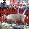 Zdjęcie z galerii Wigiljne Dzieło Pomocy Dzieciom 2016