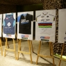 Zdjęcie z galerii Toruński Bal Sportowca 2017
