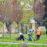 Zdjęcie z galerii Wiosenne nasadzenia drzew w Toruniu