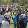 Zdjęcie z galerii "Run Toruń - Zwiedzaj ze zdrowiem" 2017