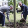 Zdjęcie z galerii Sadzenie drzew w Parku Tysiąclecia